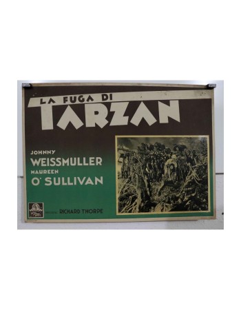 TARZAN ESCAPES