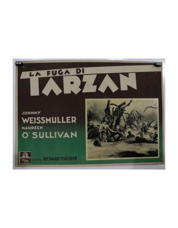 TARZAN ESCAPES