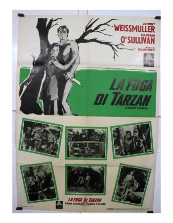 TARZAN ESCAPES