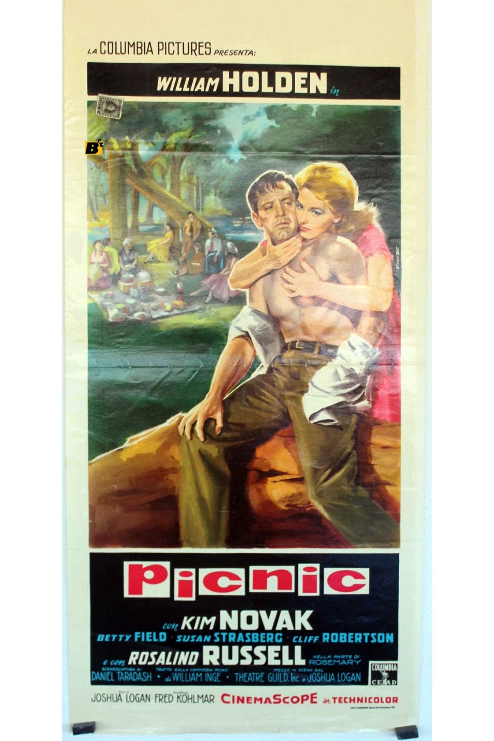 PICNIC