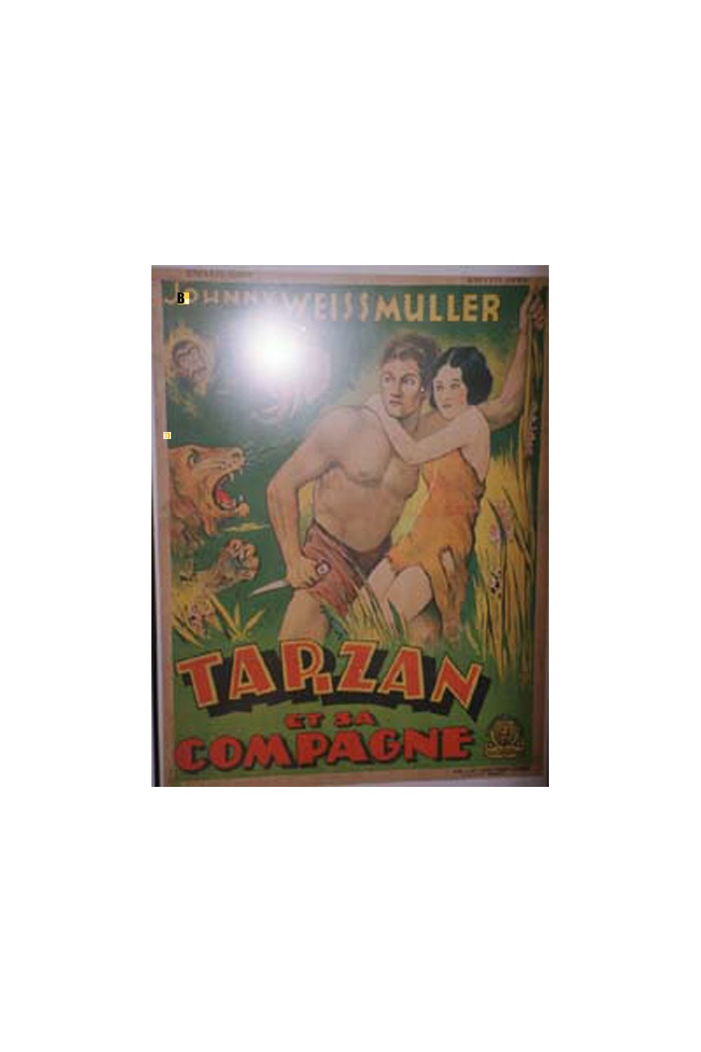 TARZAN AND HIS MATE