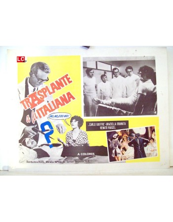 IL TRAPIANTO