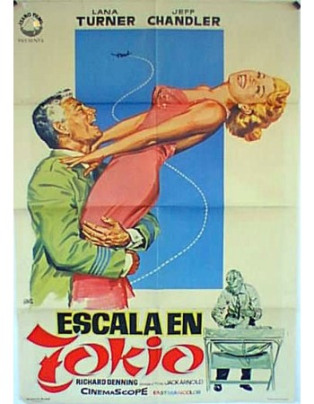 THE LADY TAKES A FLYER