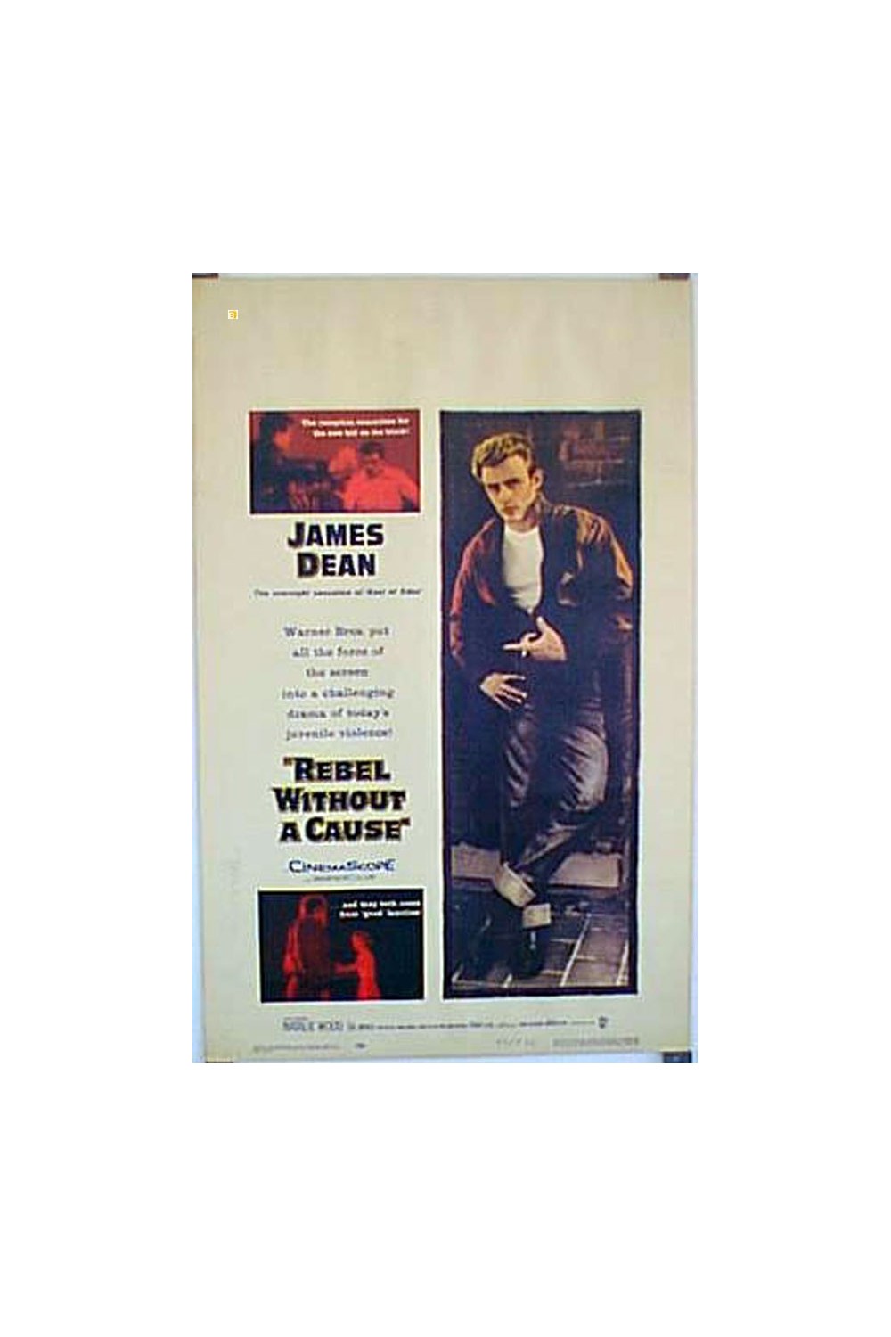 REBEL WITHOUT A CAUSE