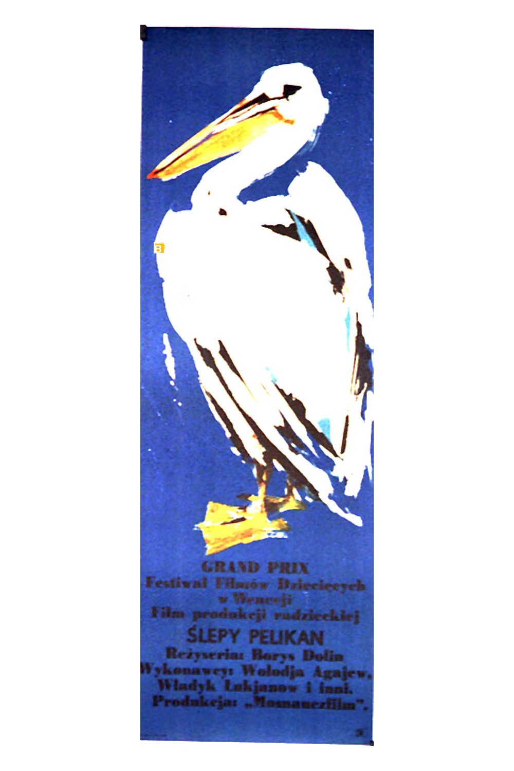 SLEPY PELIKAN
