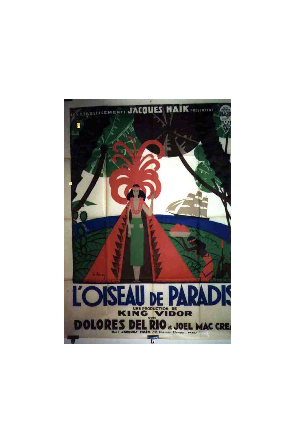 BIRD OF PARADISE