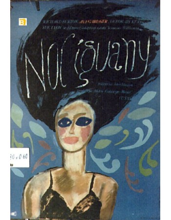 THE NIGHT OF THE IGUANA