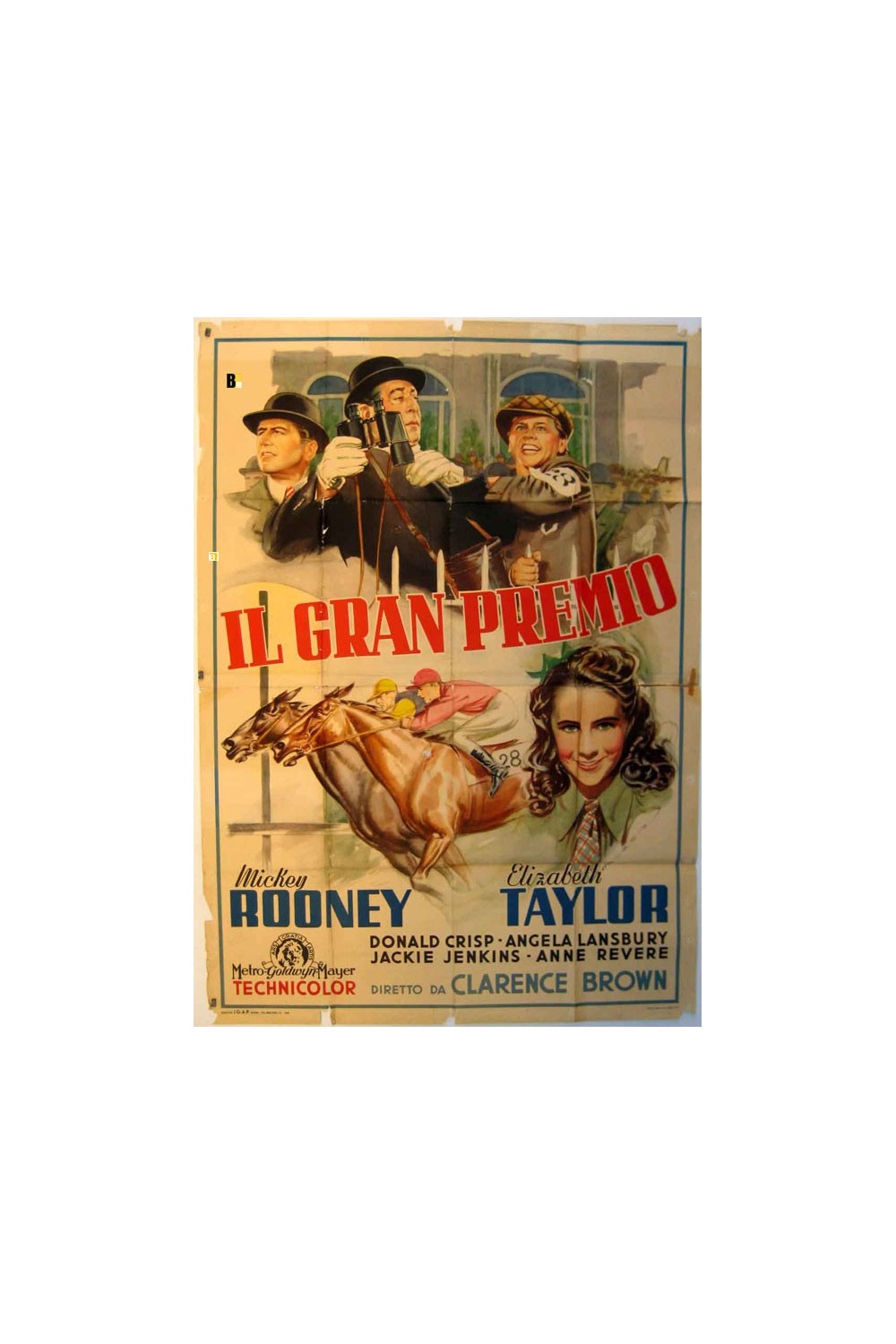 NATIONAL VELVET