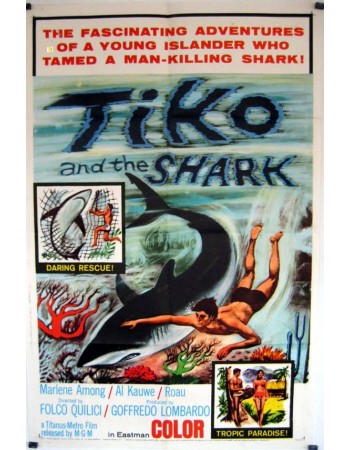 TI-KOYO E IL SUO PESCECANE