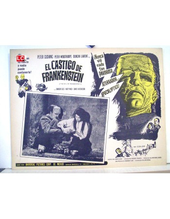 THE EVIL OF FRANKENSTEIN