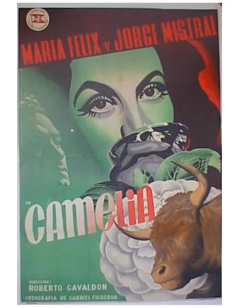 CAMELIA