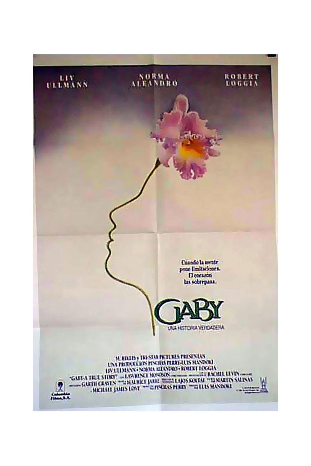 GABY, A TRUE STORY