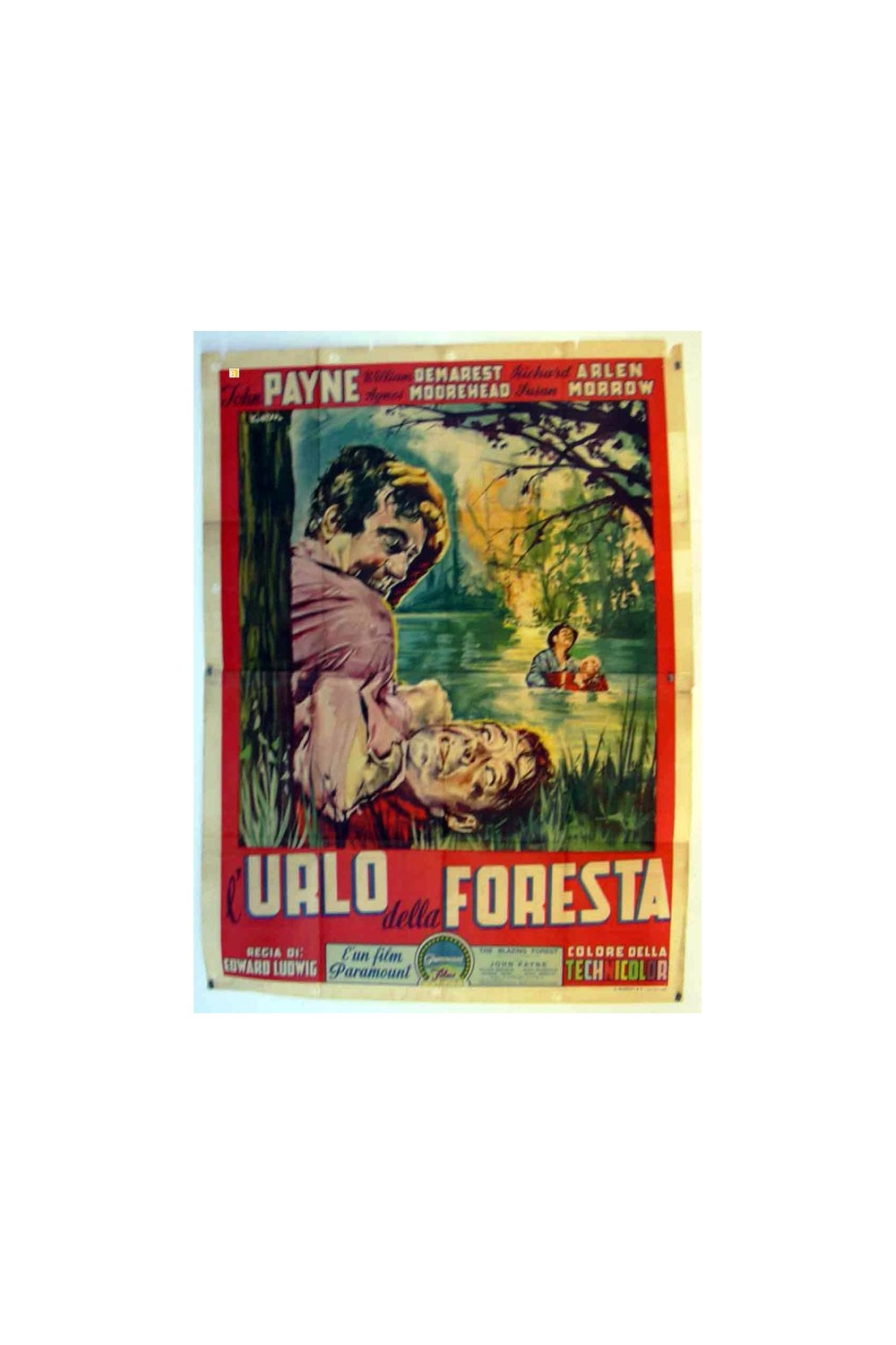THE BLAZING FOREST