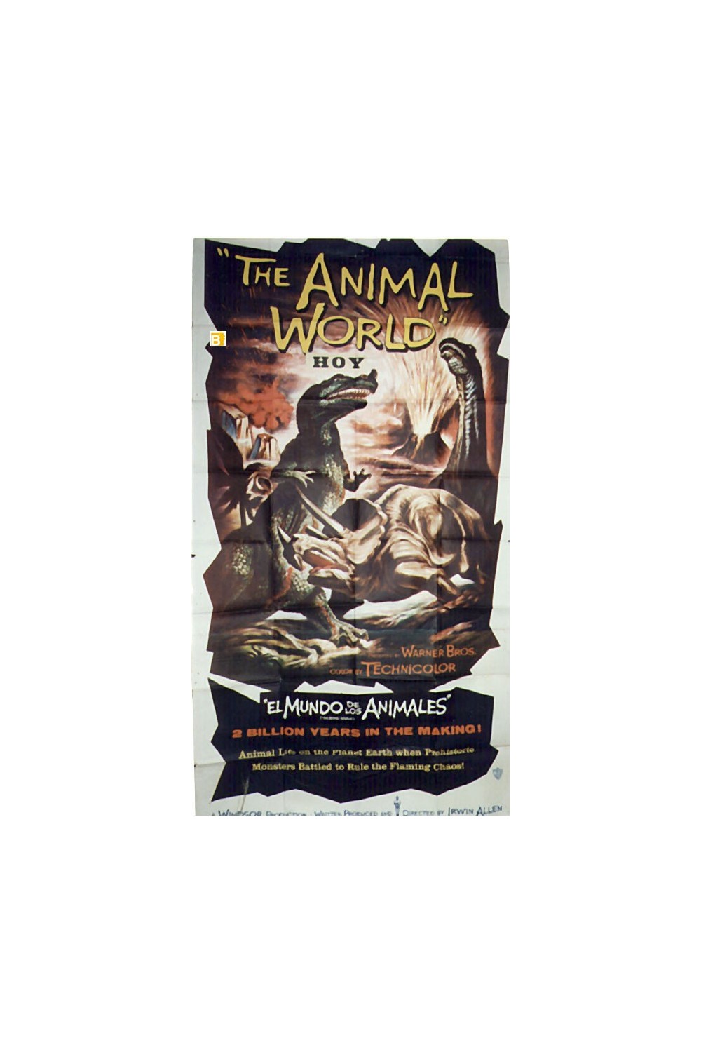 THE ANIMAL WORLD