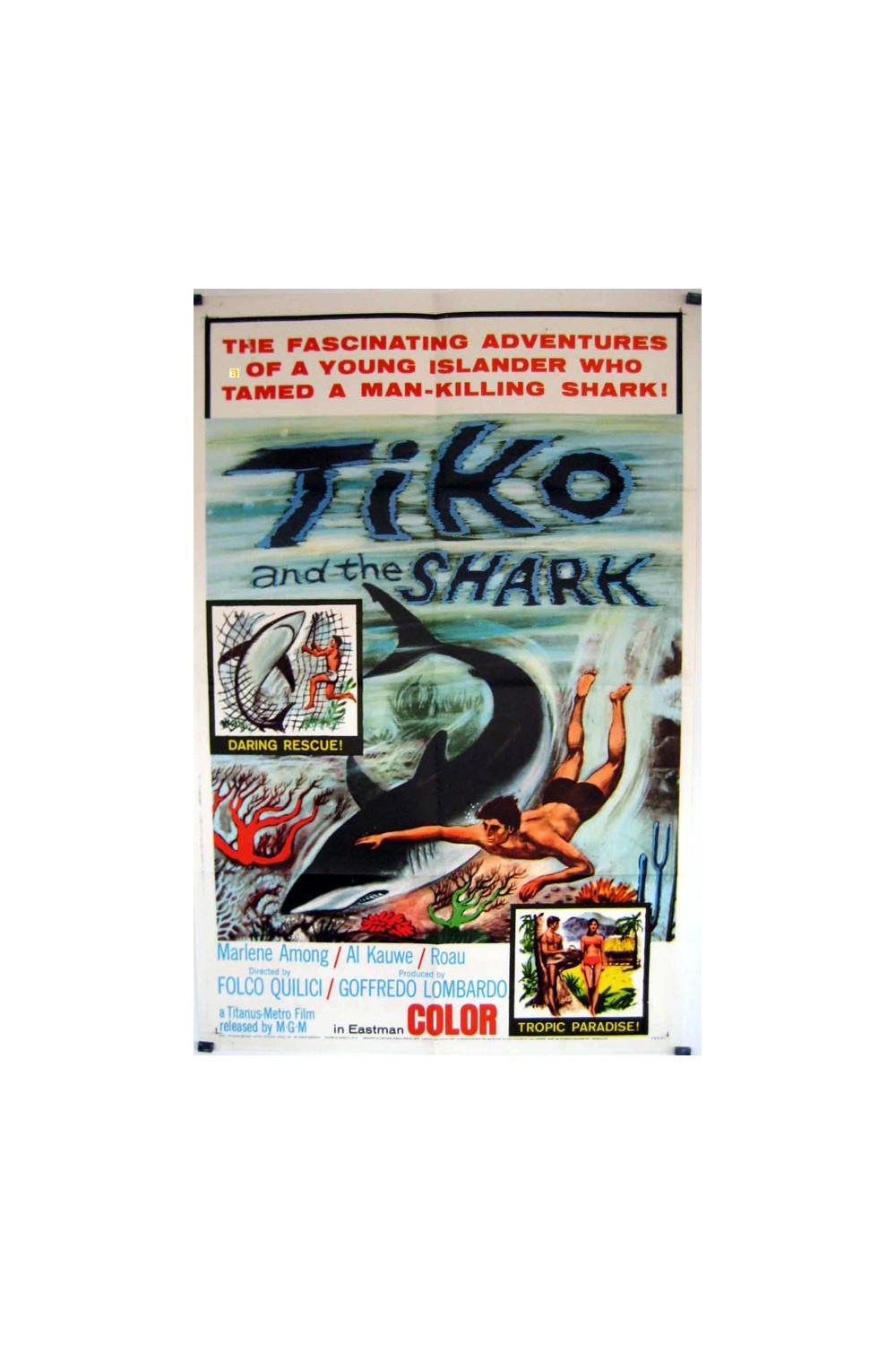 TI-KOYO E IL SUO PESCECANE