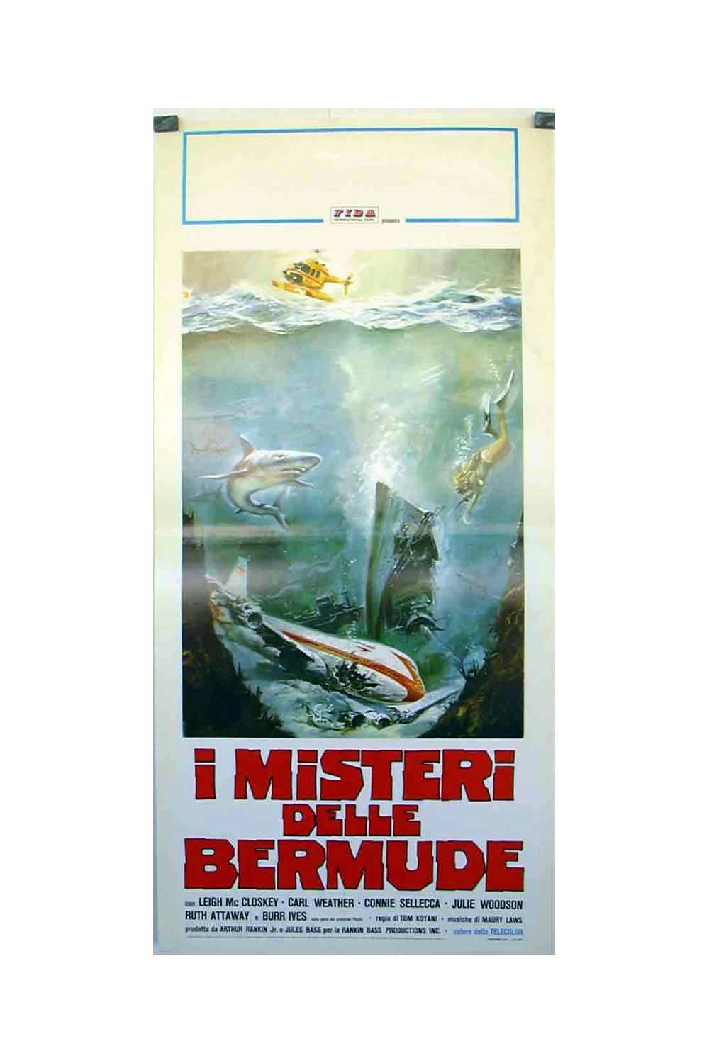 THE BERMUDA DEPTHS