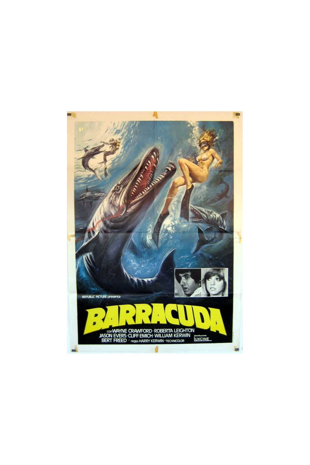 BARRACUDA