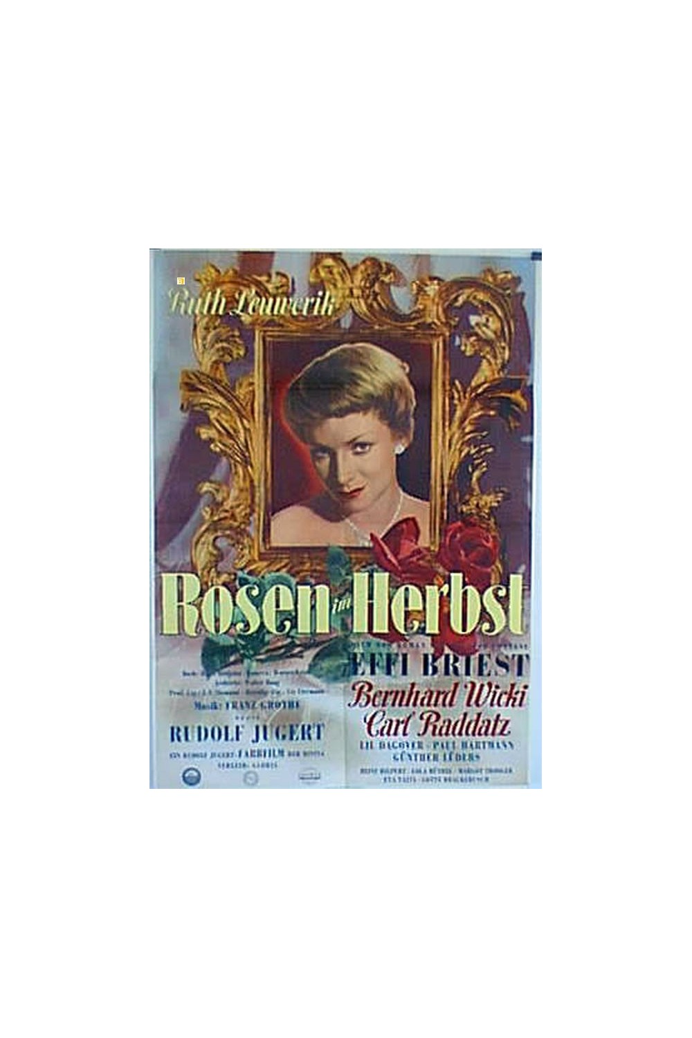 ROSEN IM HERBST