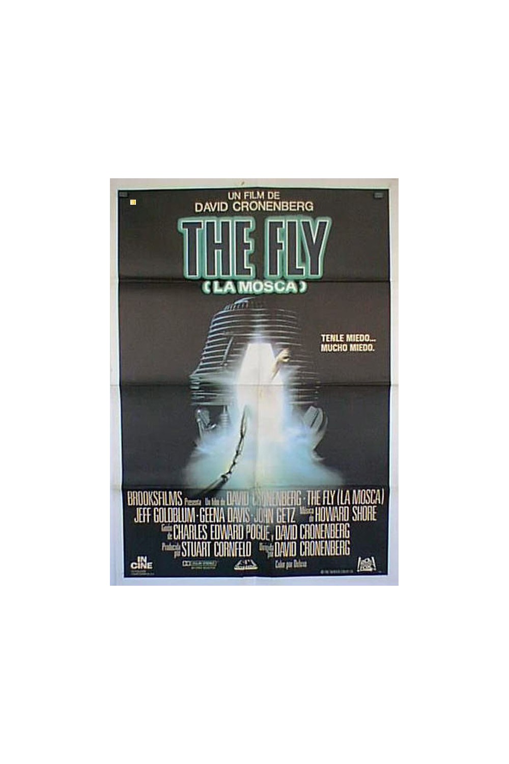 THE FLY