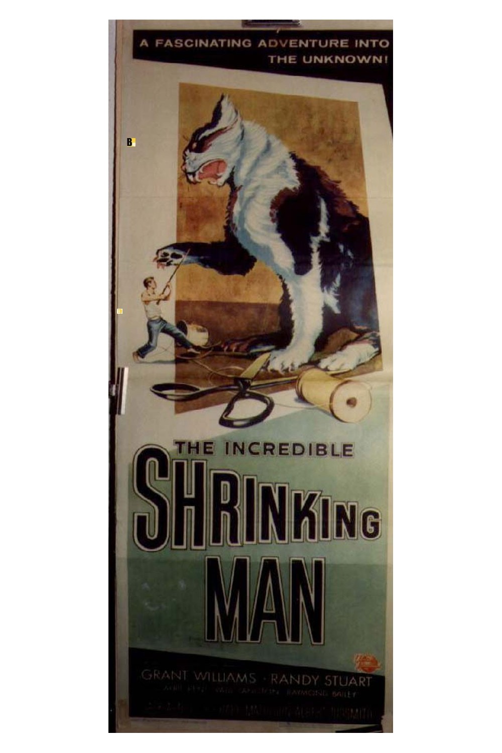 THE INCREDIBLE SHRINKING MAN