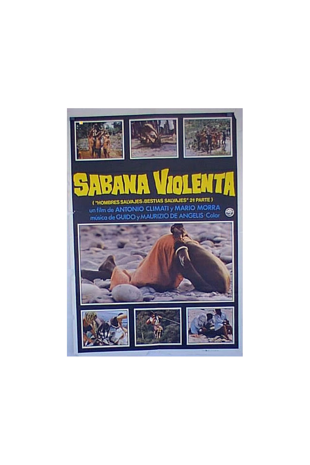 SABANA VIOLENTA