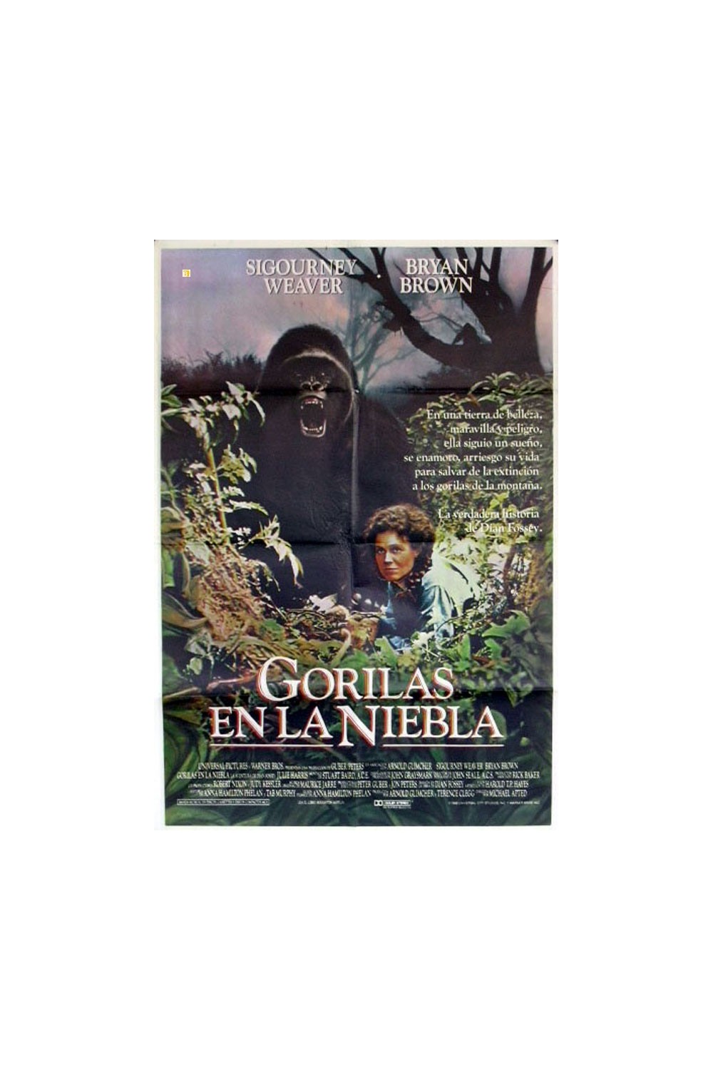 Gorillas in the Mist: The Story of Dian Fossey