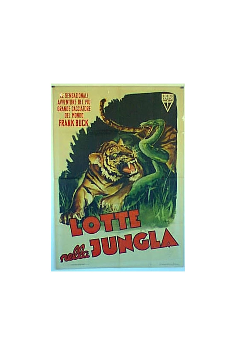 LOTTE NELLA JUNGLA