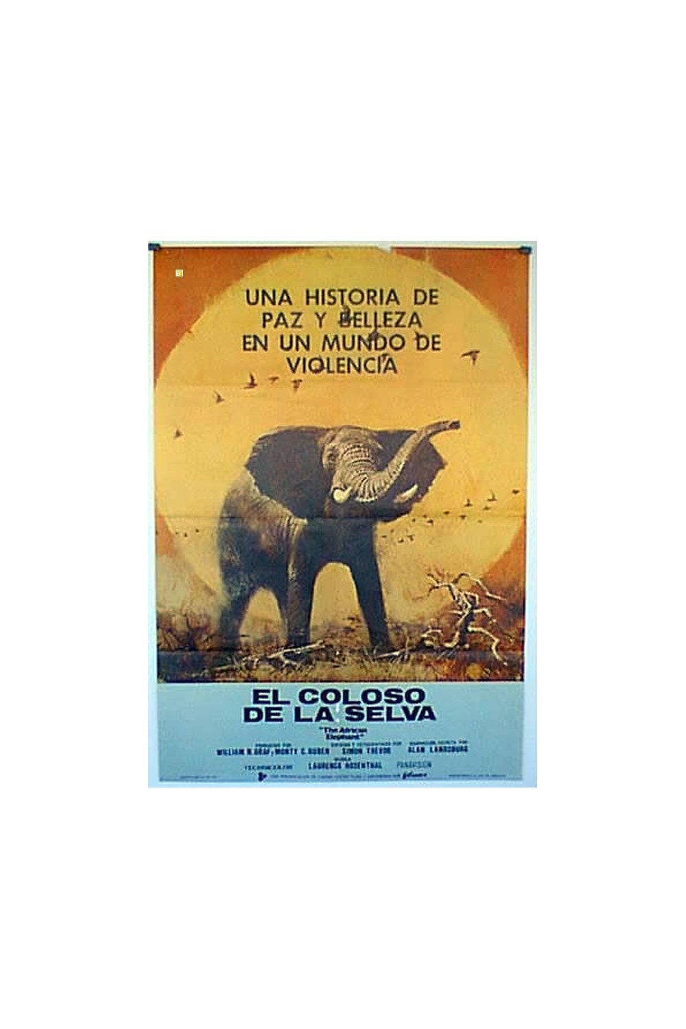THE AFRICAN ELEPHANT