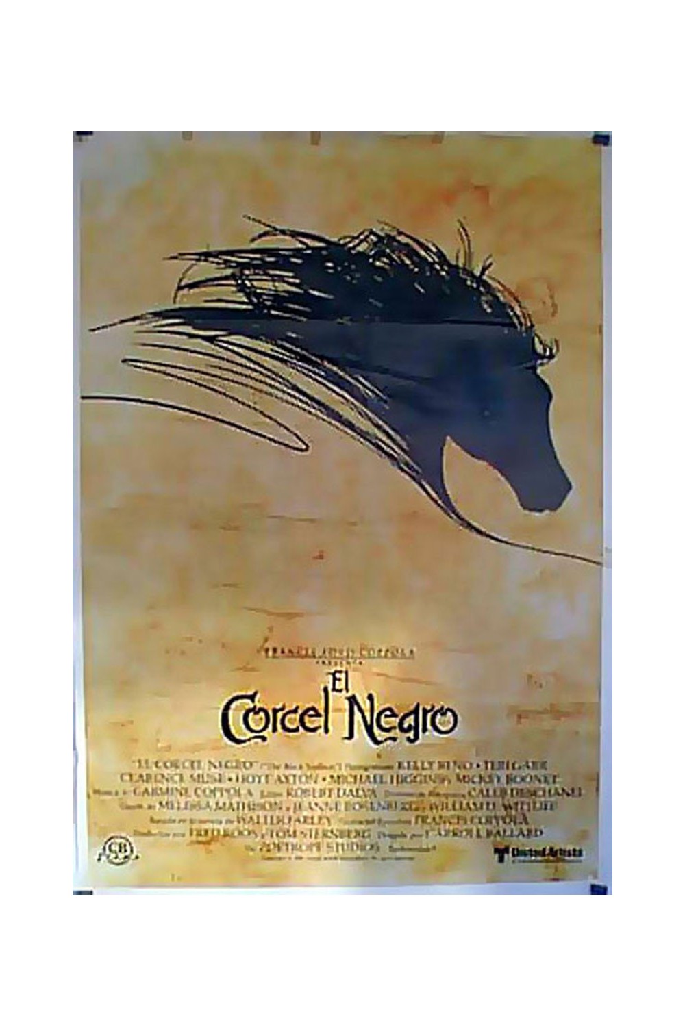 THE BLACK STALLION