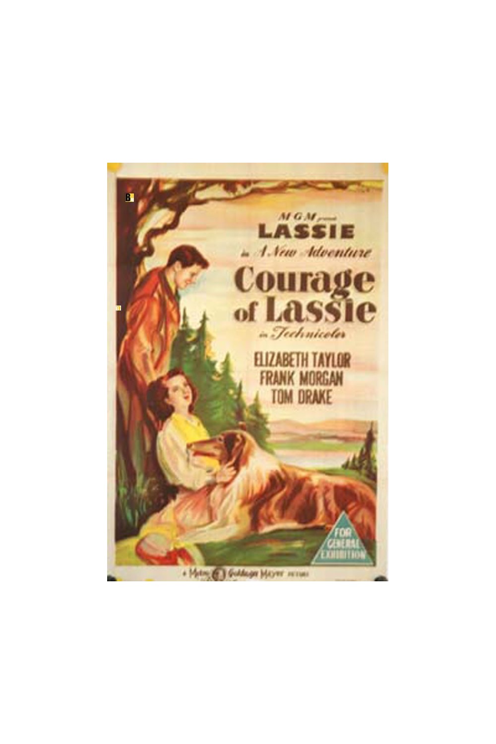 COURAGE OF LASSIE