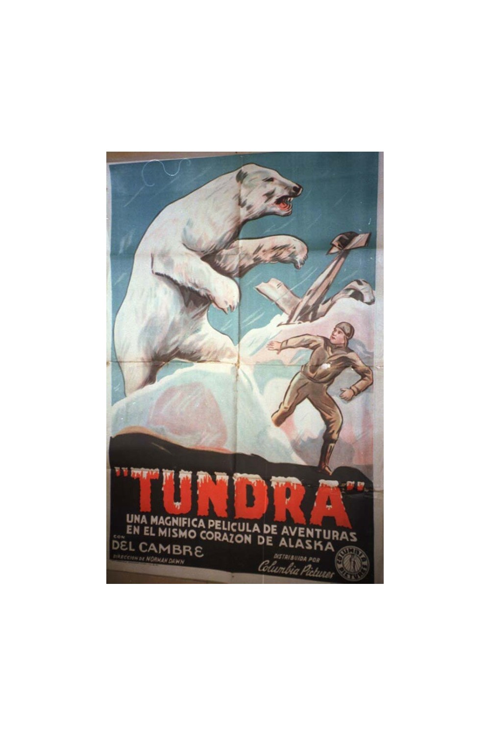 TUNDRA