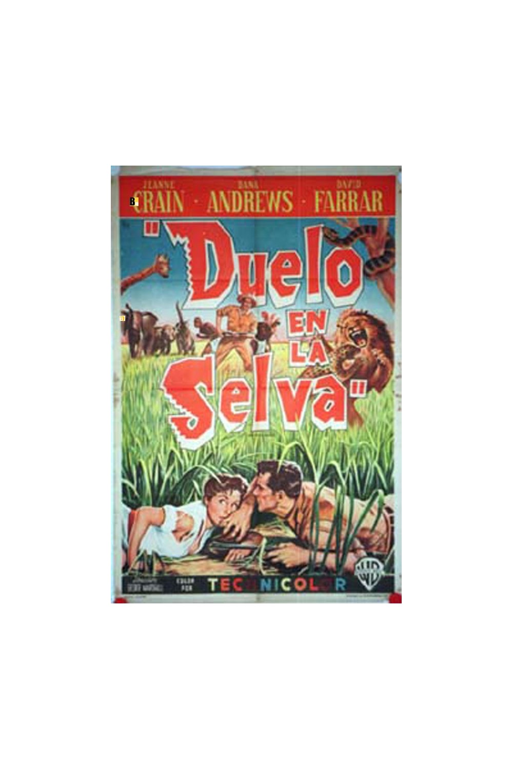 DUEL IN THE JUNGLE
