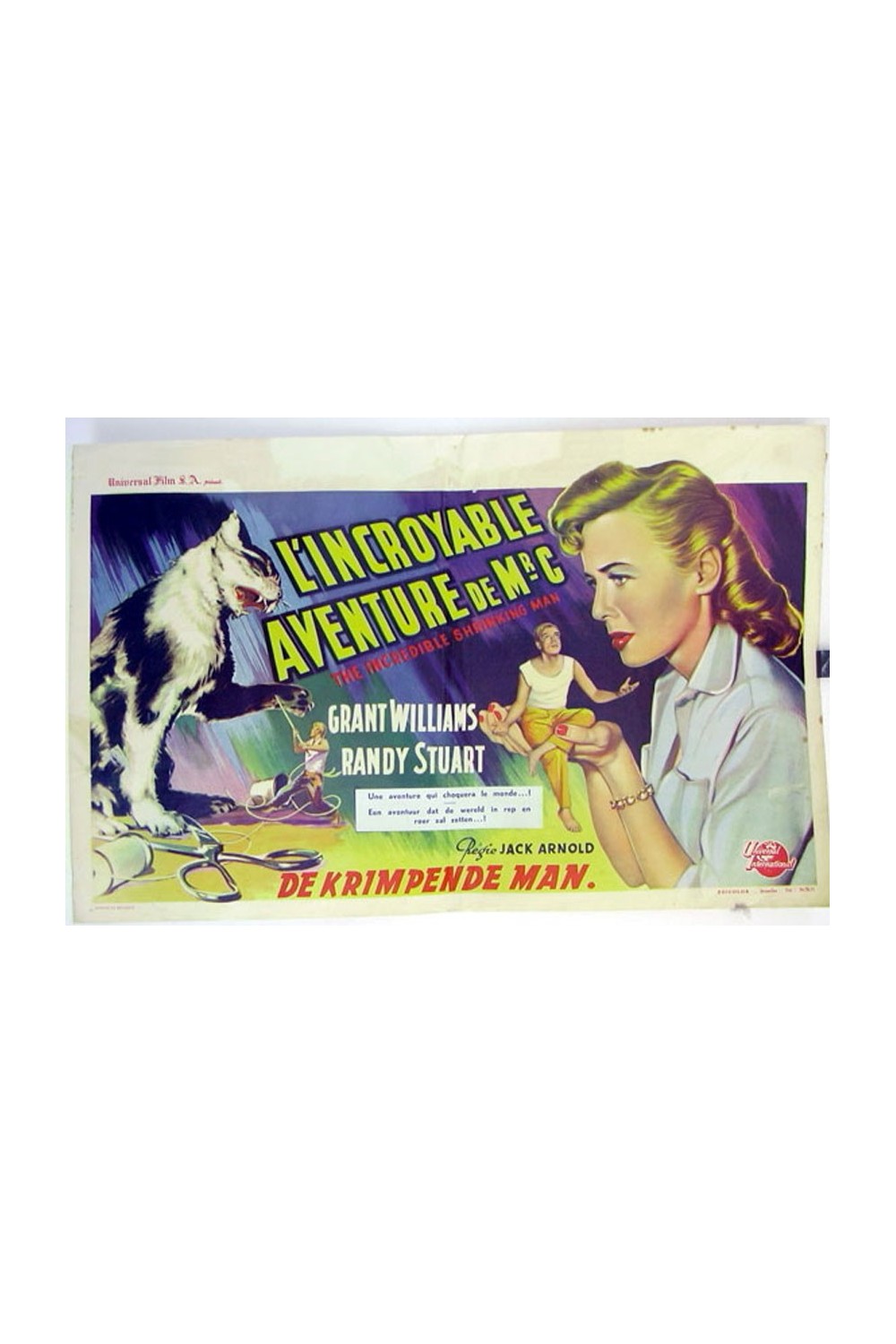 THE INCREDIBLE SHRINKING MAN
