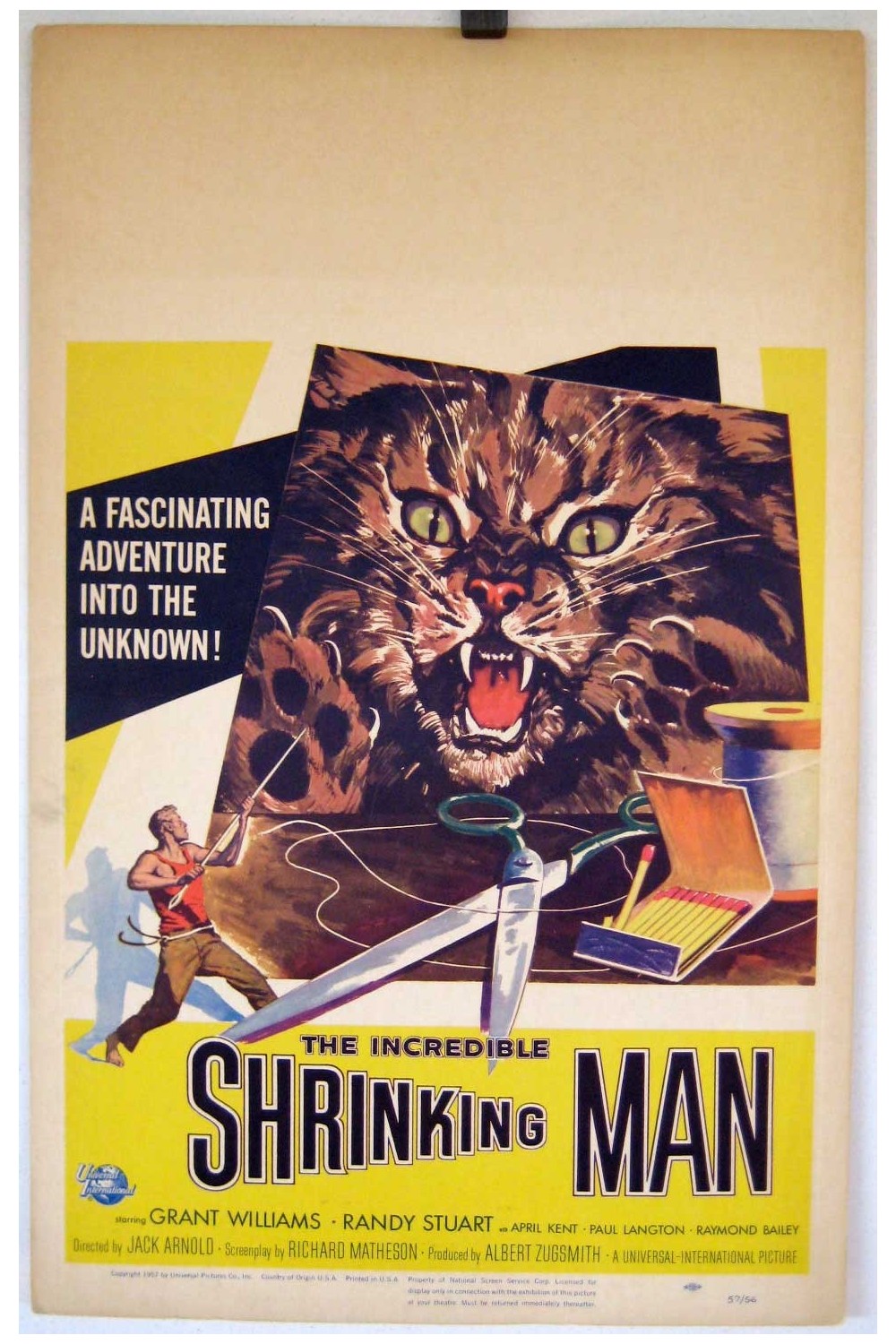 THE INCREDIBLE SHRINKING MAN