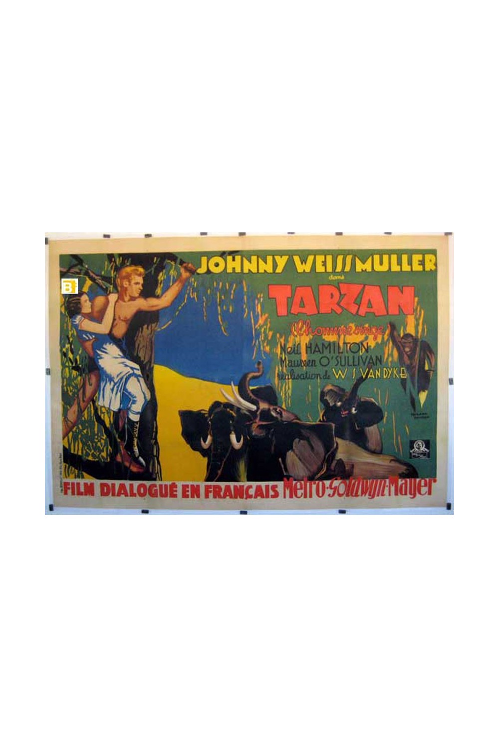 TARZAN THE APE MAN