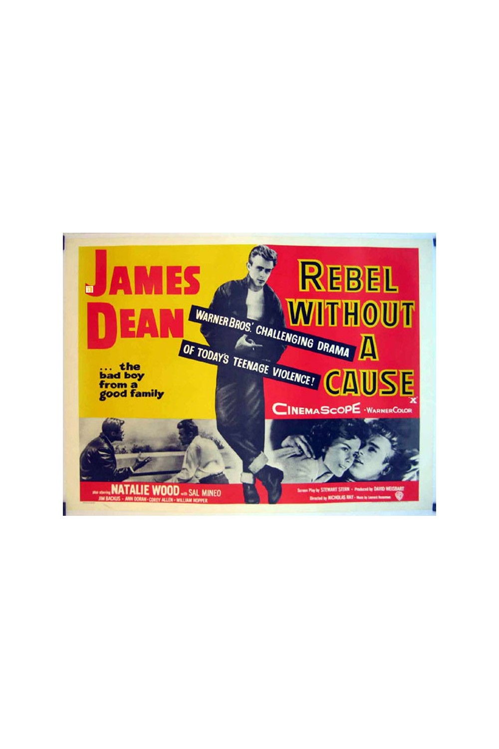 REBEL WITHOUT A CAUSE