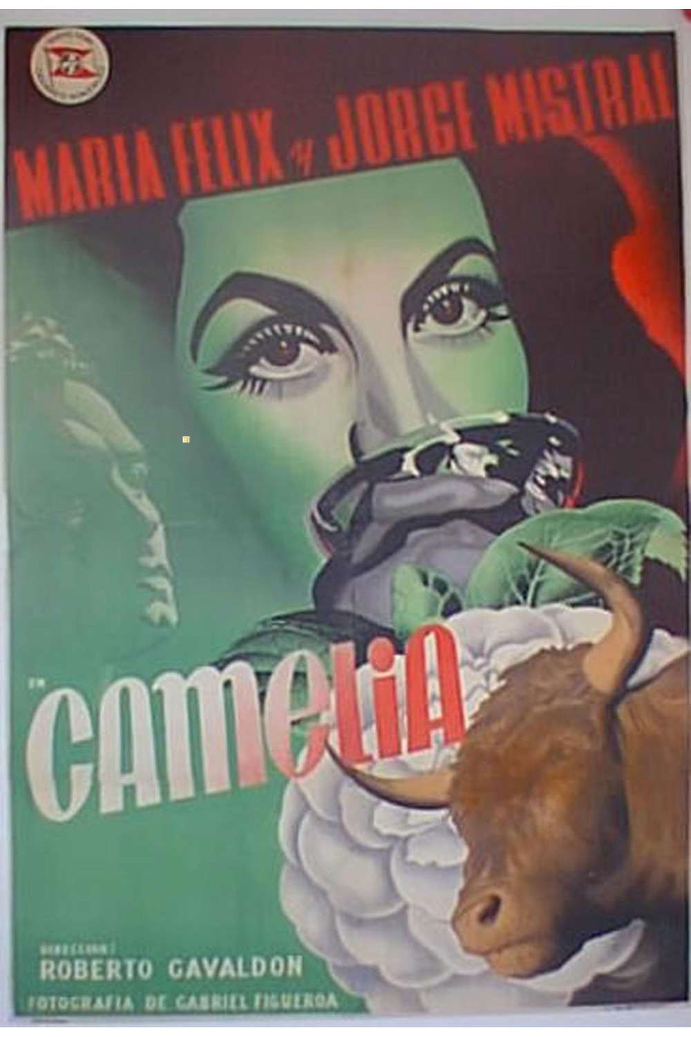 CAMELIA