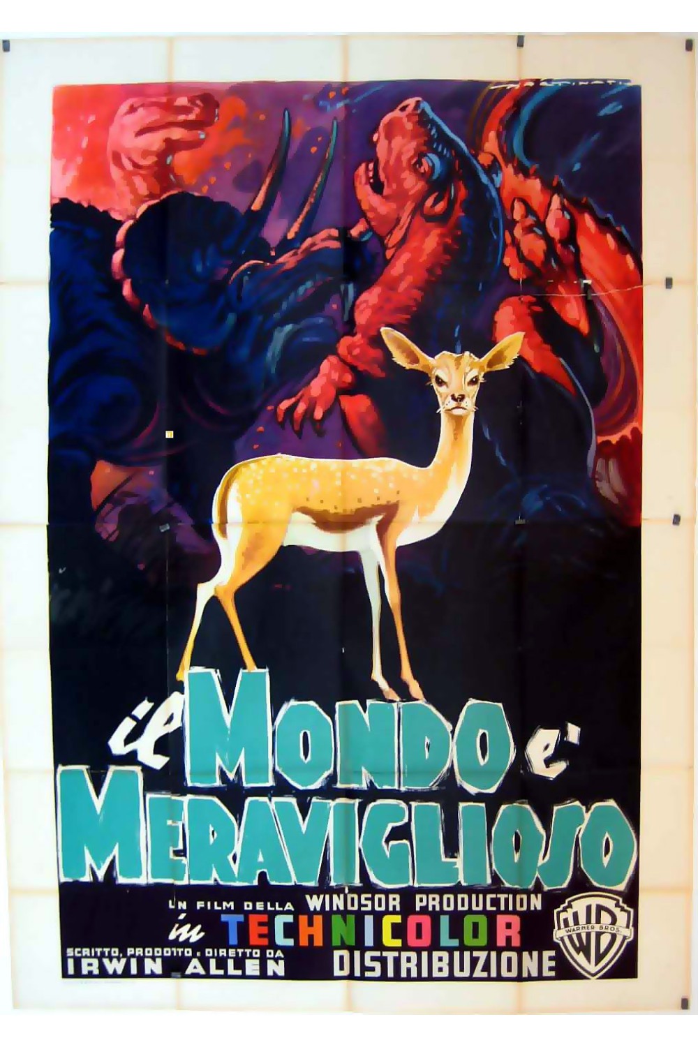 THE ANIMAL WORLD