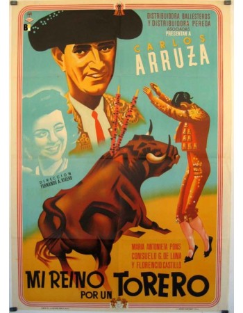 MI REINO POR UN TORERO