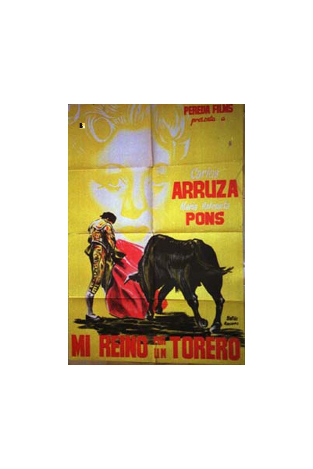 MI REINO POR UN TORERO