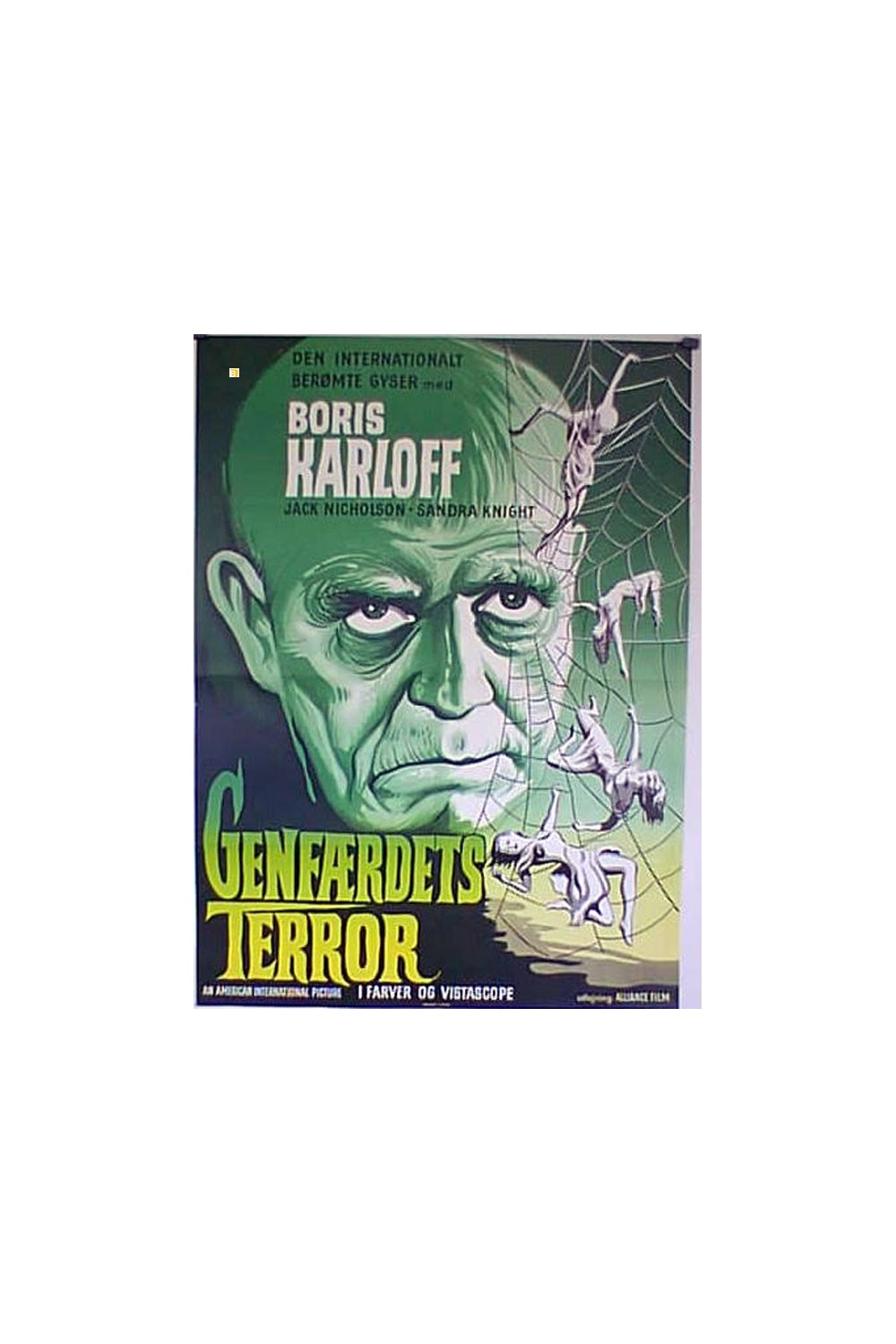 THE TERROR