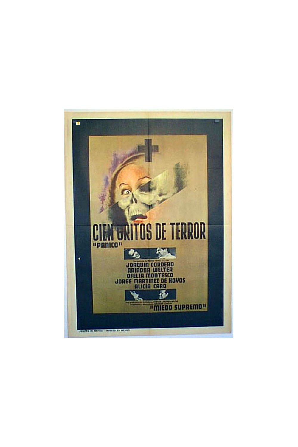 CIEN GRITOS DE TERROR
