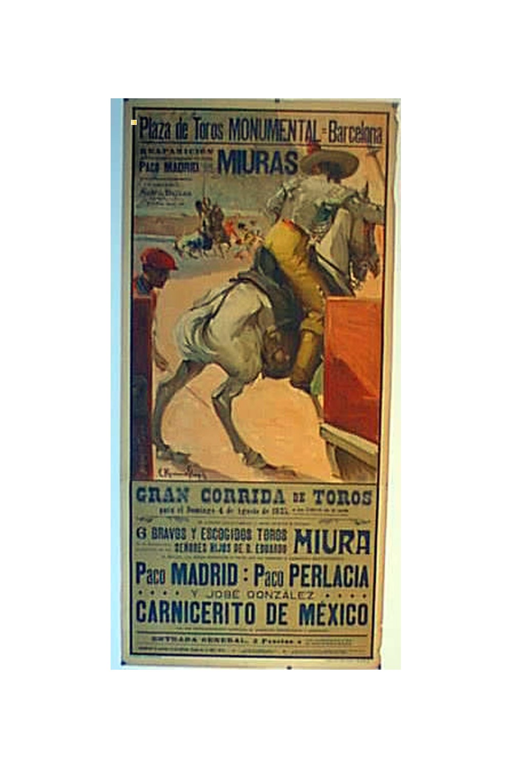 MONUMENTAL, CARNICERITO DE MEXICO