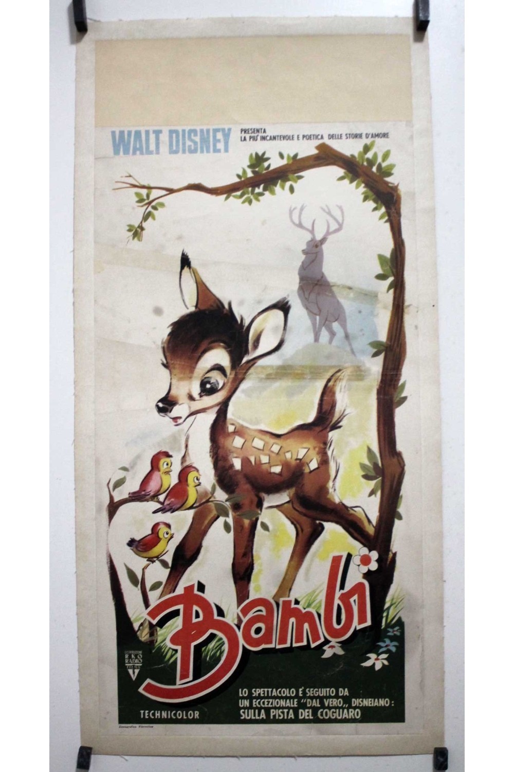 BAMBI