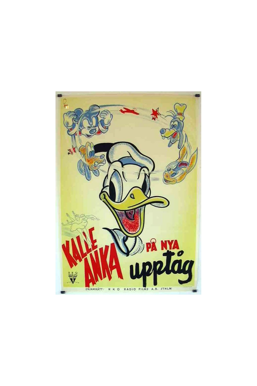 DONALD DUCKS BIRTHDAY PARTY