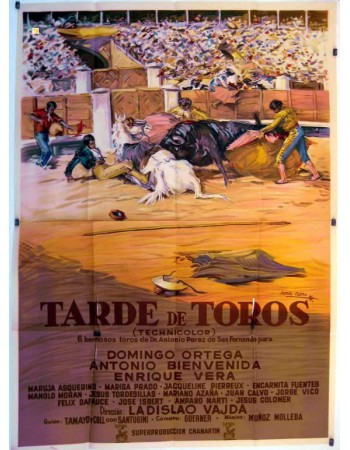 TARDE DE TOROS