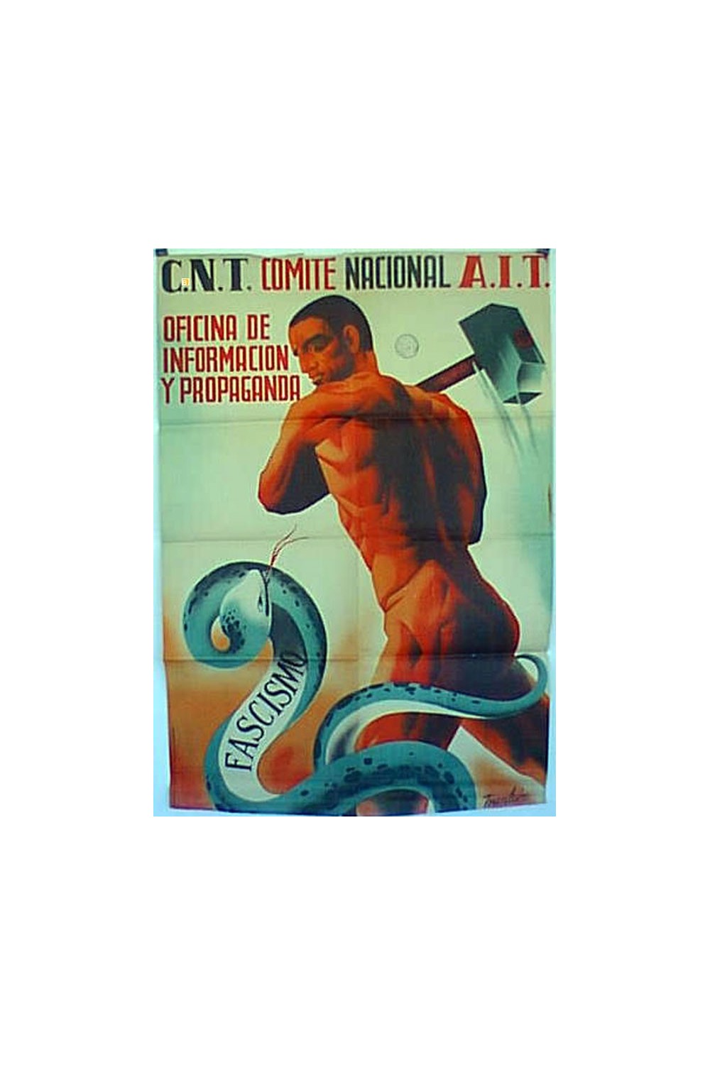 C.N.T. FASCISMO