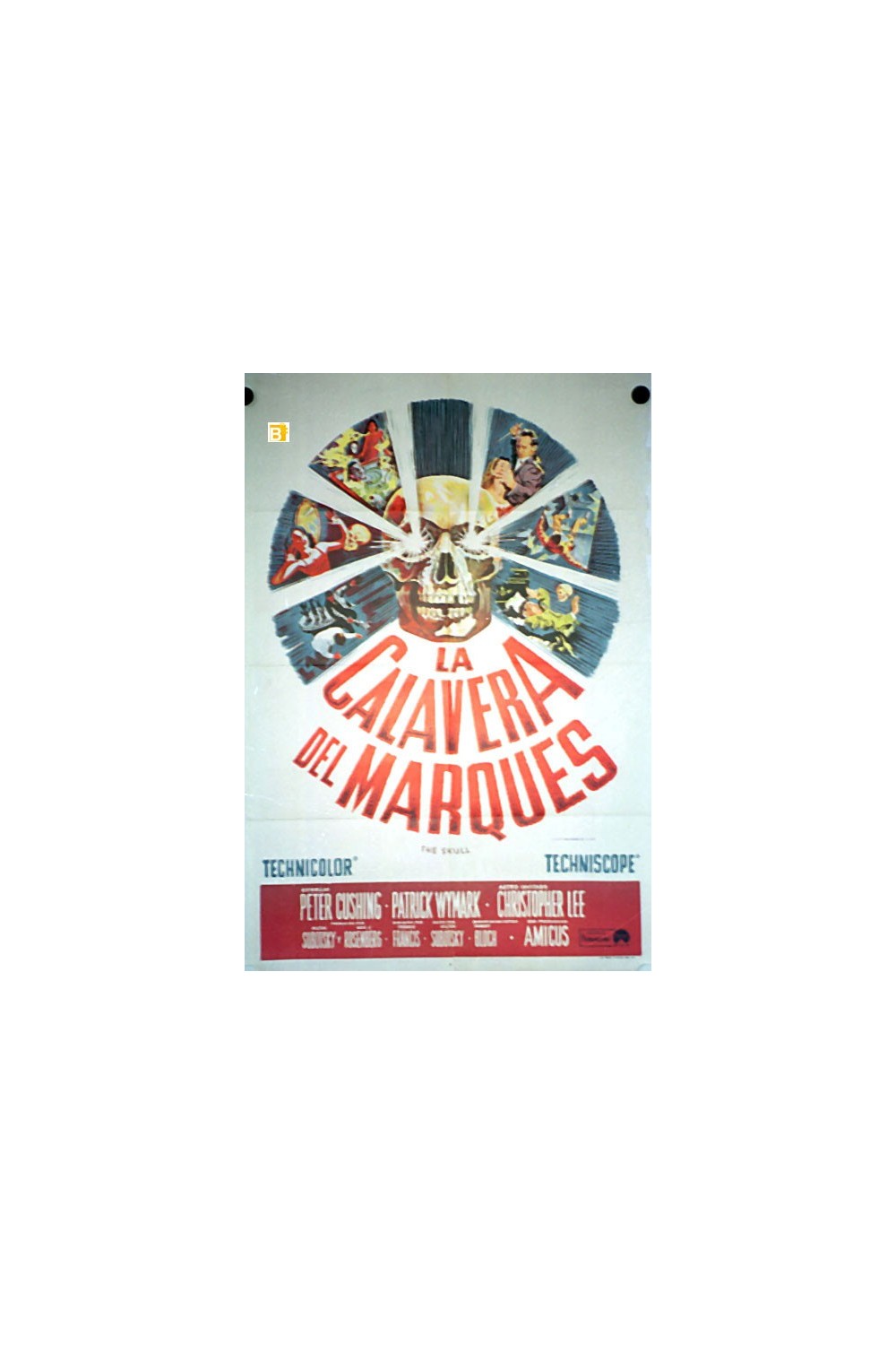 THE SKULL