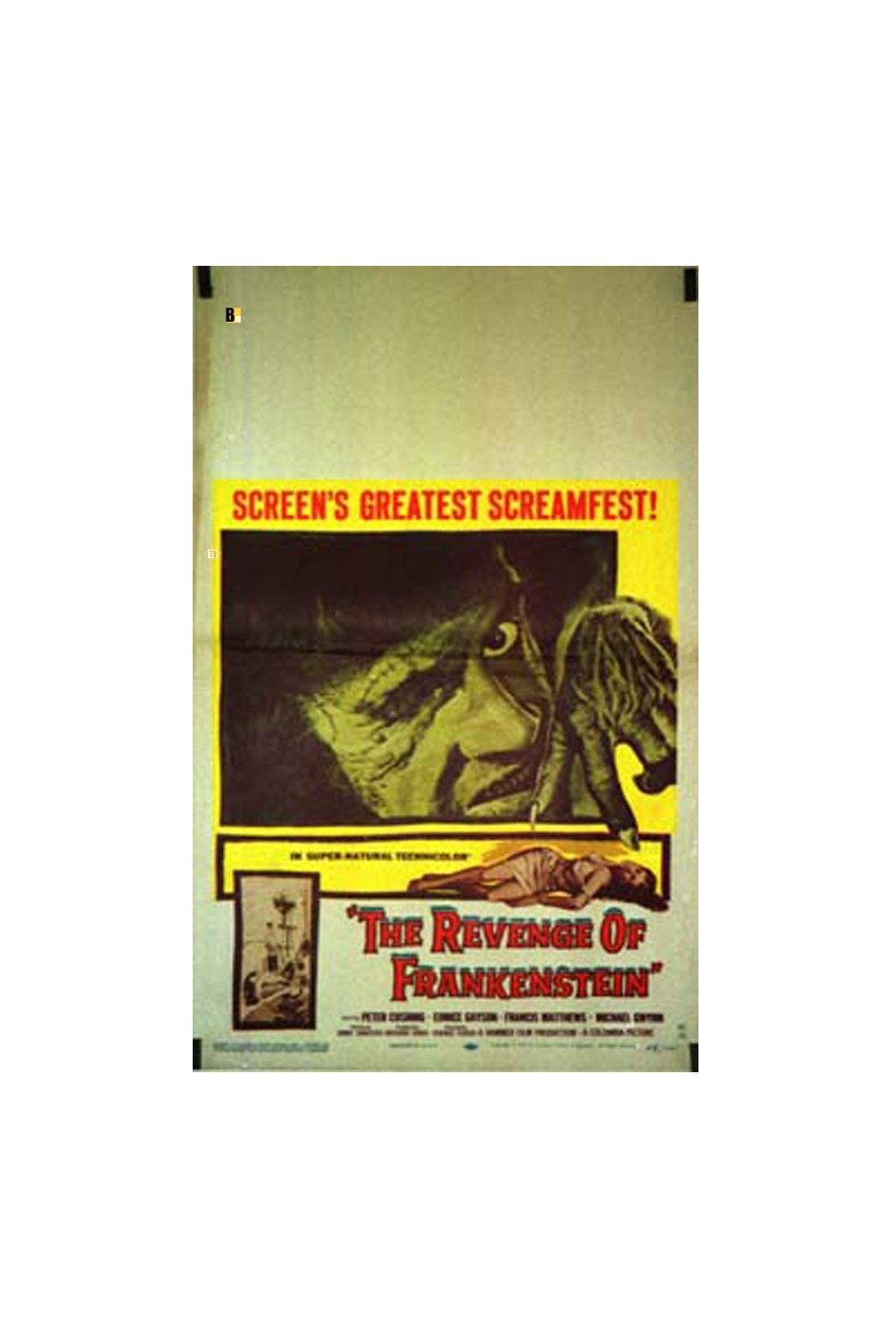 THE REVENGE OF FRANKENSTEIN