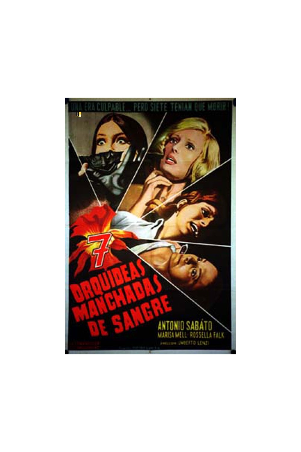SETTE ORCHIDEE MACCHIATE DI ROSSO